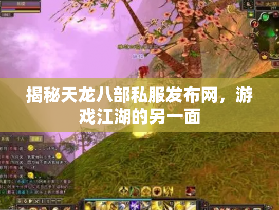 揭秘天龙八部私服发布网，游戏江湖的另一面