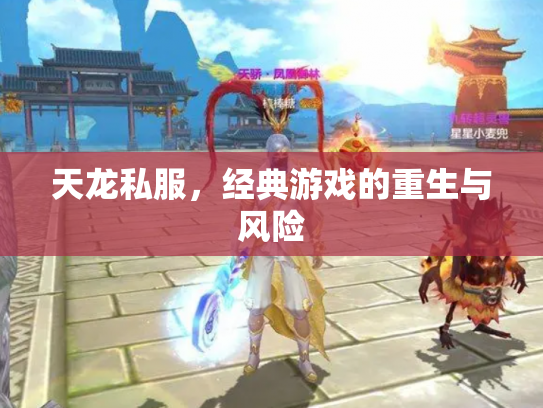 天龙私服，经典游戏的重生与风险