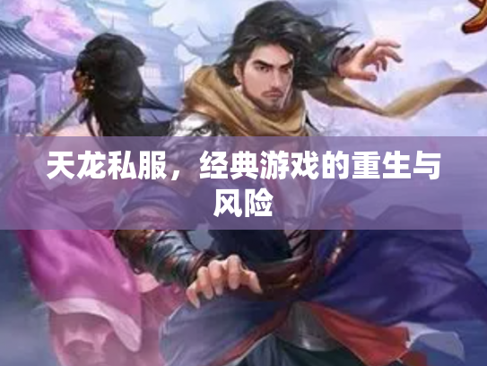 天龙私服，经典游戏的重生与风险