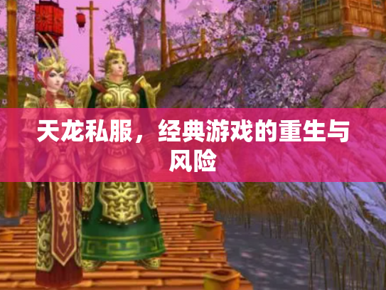 天龙私服，经典游戏的重生与风险