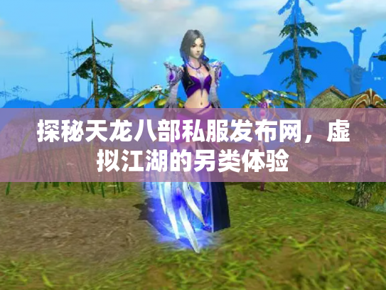 探秘天龙八部私服发布网，虚拟江湖的另类体验