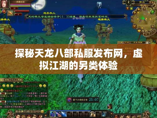 探秘天龙八部私服发布网，虚拟江湖的另类体验