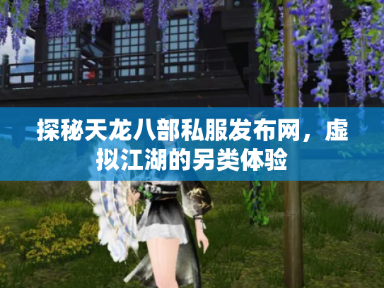 探秘天龙八部私服发布网，虚拟江湖的另类体验