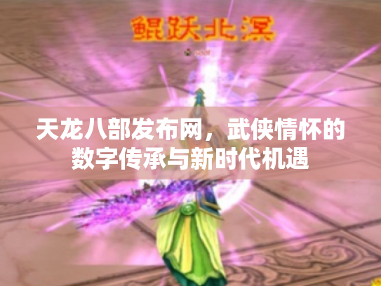 天龙八部发布网，武侠情怀的数字传承与新时代机遇