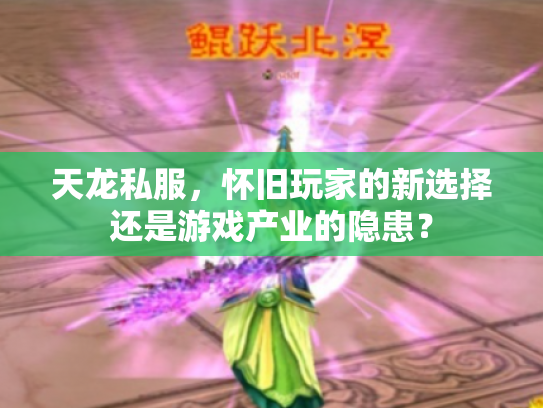 天龙私服，怀旧玩家的新选择还是游戏产业的隐患？