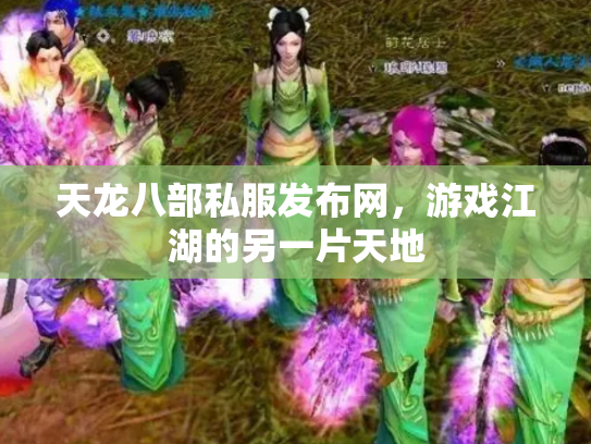 天龙八部私服发布网，游戏江湖的另一片天地