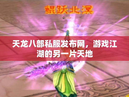 天龙八部私服发布网，游戏江湖的另一片天地