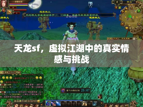 天龙sf，虚拟江湖中的真实情感与挑战