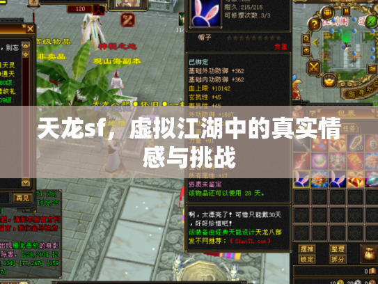 天龙sf，虚拟江湖中的真实情感与挑战