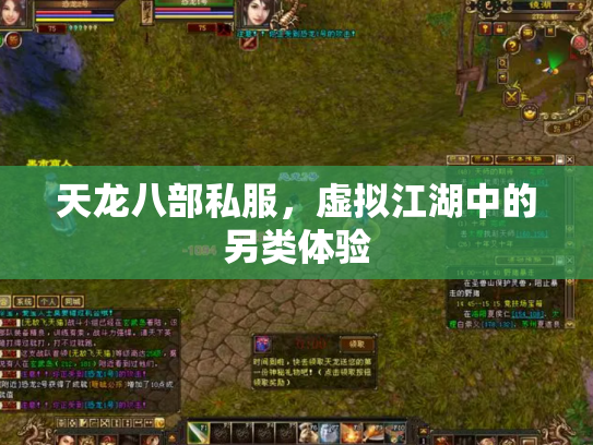 天龙八部私服，虚拟江湖中的另类体验