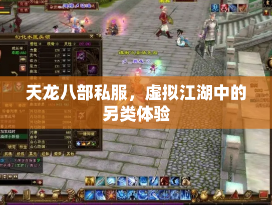 天龙八部私服，虚拟江湖中的另类体验