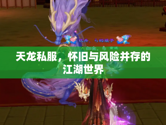 天龙私服，怀旧与风险并存的江湖世界