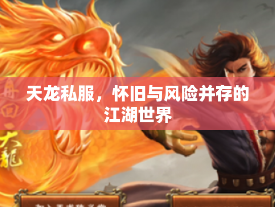 天龙私服，怀旧与风险并存的江湖世界