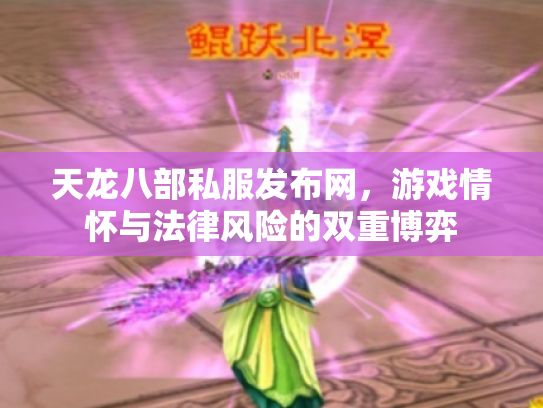 天龙八部私服发布网，游戏情怀与法律风险的双重博弈