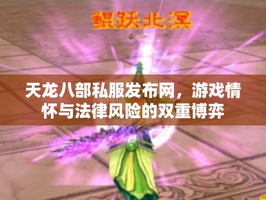 天龙八部私服发布网，游戏情怀与法律风险的双重博弈