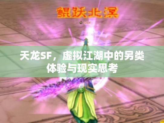 天龙SF，虚拟江湖中的另类体验与现实思考