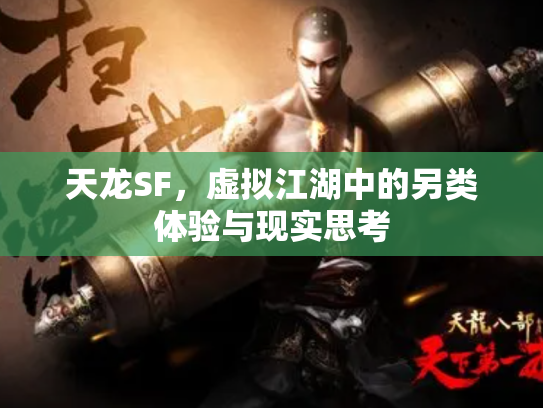 天龙SF，虚拟江湖中的另类体验与现实思考