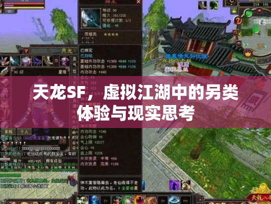 天龙SF，虚拟江湖中的另类体验与现实思考
