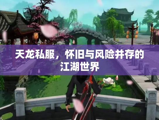 天龙私服，怀旧与风险并存的江湖世界