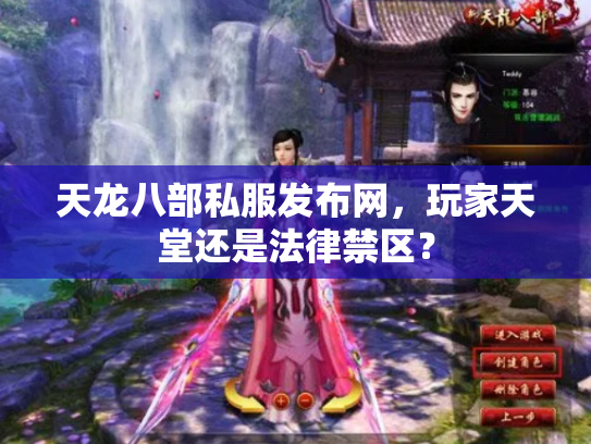 天龙八部私服发布网，玩家天堂还是法律禁区？
