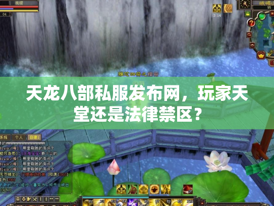 天龙八部私服发布网，玩家天堂还是法律禁区？
