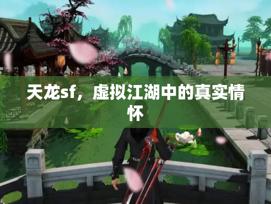 天龙sf，虚拟江湖中的真实情怀