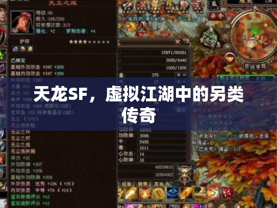 天龙SF，虚拟江湖中的另类传奇