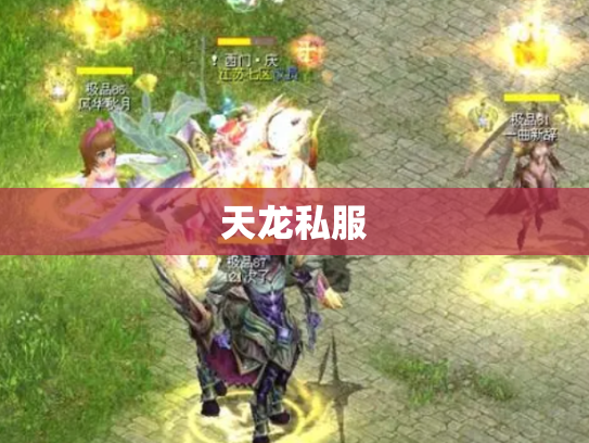 天龙私服