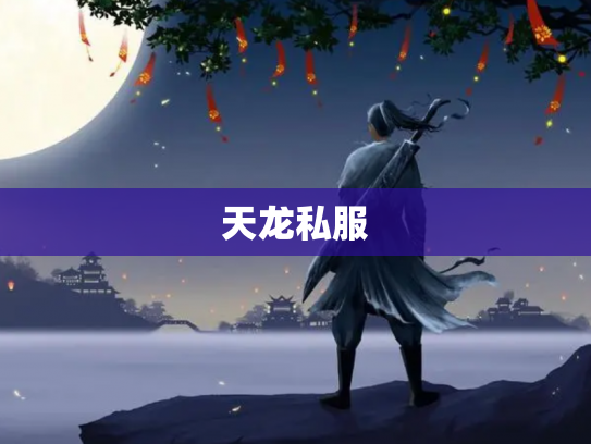 天龙私服