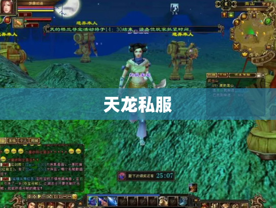 天龙私服
