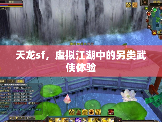 天龙sf，虚拟江湖中的另类武侠体验