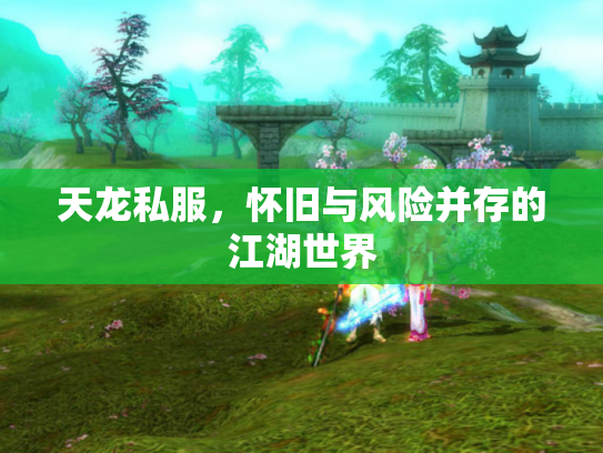 天龙私服，怀旧与风险并存的江湖世界