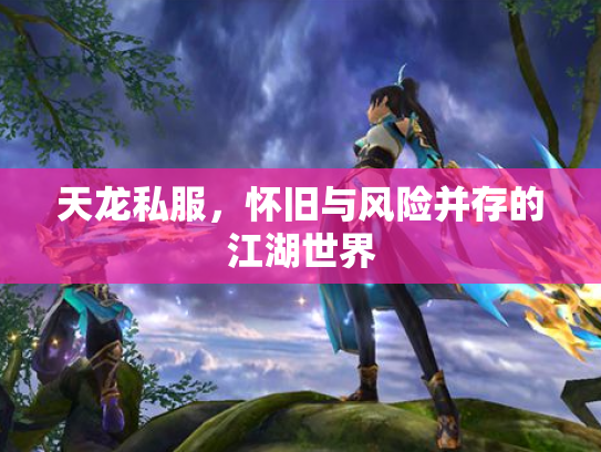 天龙私服，怀旧与风险并存的江湖世界
