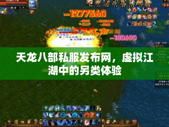 天龙八部私服发布网，虚拟江湖中的另类体验