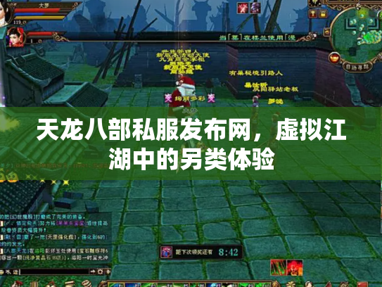 天龙八部私服发布网，虚拟江湖中的另类体验