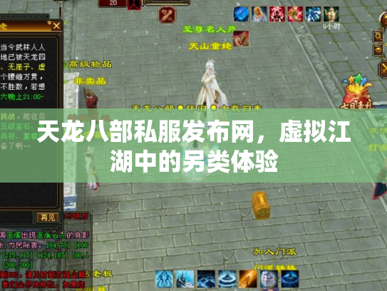 天龙八部私服发布网，虚拟江湖中的另类体验