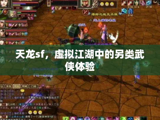 天龙sf，虚拟江湖中的另类武侠体验
