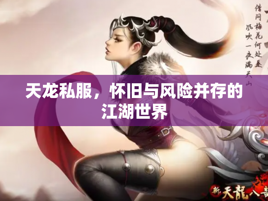 天龙私服，怀旧与风险并存的江湖世界