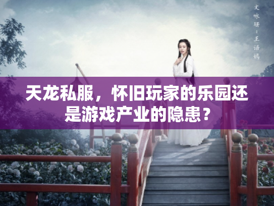 天龙私服，怀旧玩家的乐园还是游戏产业的隐患？