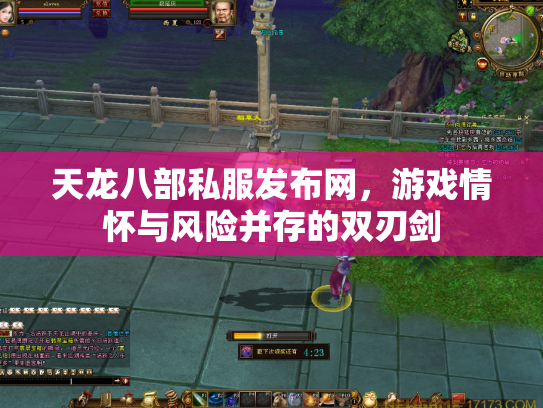 天龙八部私服发布网，游戏情怀与风险并存的双刃剑