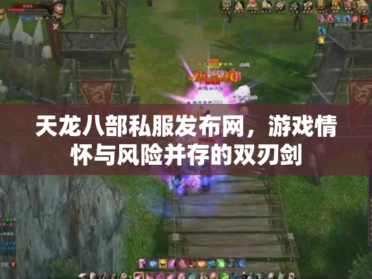 天龙八部私服发布网，游戏情怀与风险并存的双刃剑
