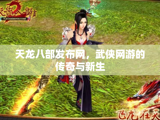 天龙八部发布网，武侠网游的传奇与新生