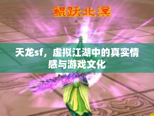 天龙sf，虚拟江湖中的真实情感与游戏文化