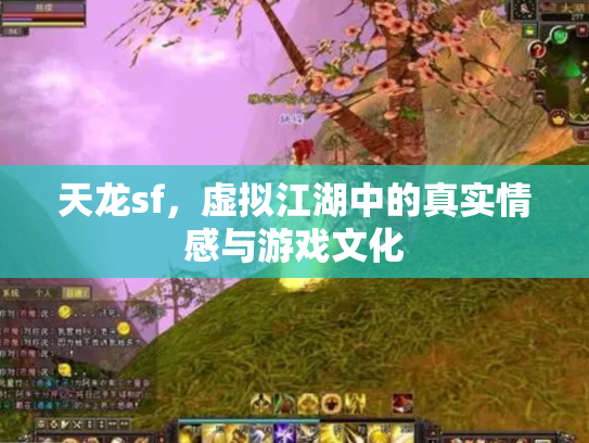 天龙sf，虚拟江湖中的真实情感与游戏文化
