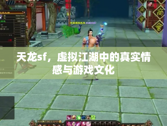 天龙sf，虚拟江湖中的真实情感与游戏文化