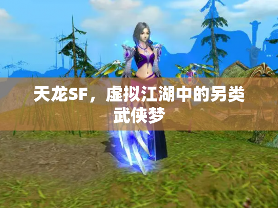 天龙SF，虚拟江湖中的另类武侠梦