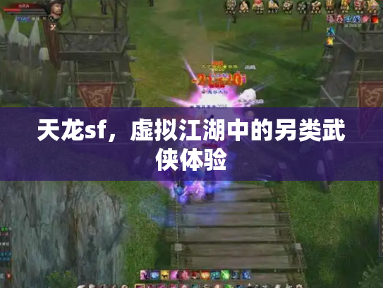 天龙sf，虚拟江湖中的另类武侠体验