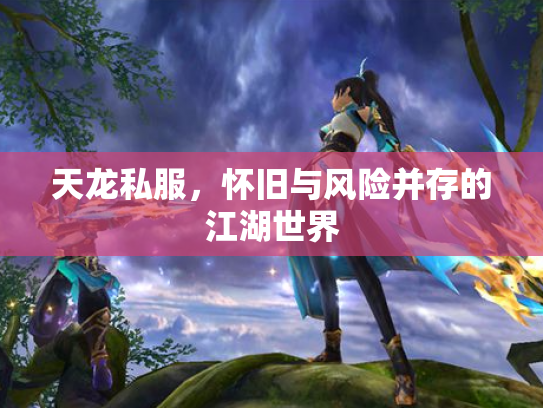 天龙私服，怀旧与风险并存的江湖世界