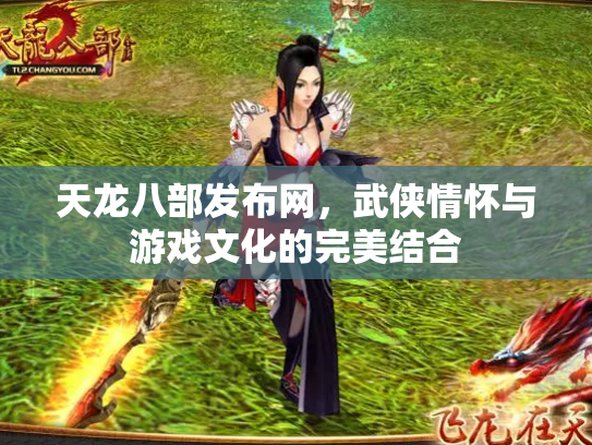 天龙八部发布网，武侠情怀与游戏文化的完美结合