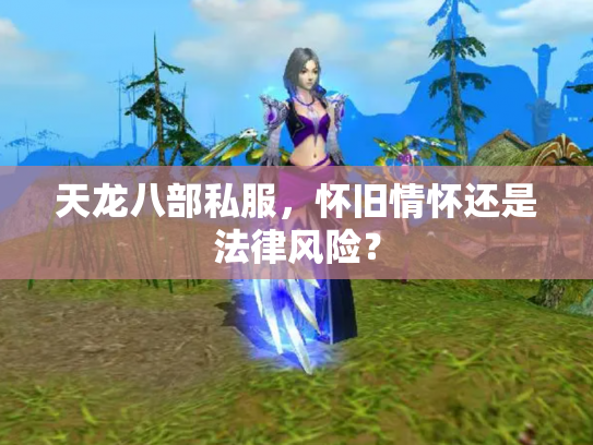 天龙八部私服，怀旧情怀还是法律风险？